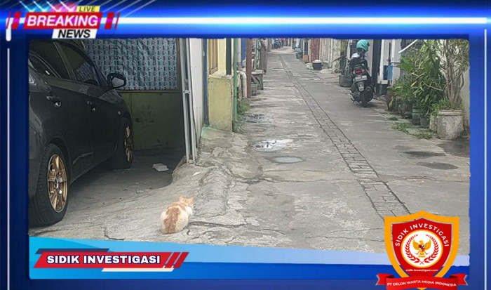 Teror Kematian Belasan Kucing Resahkan Warga Bunulrejo Kota Malang