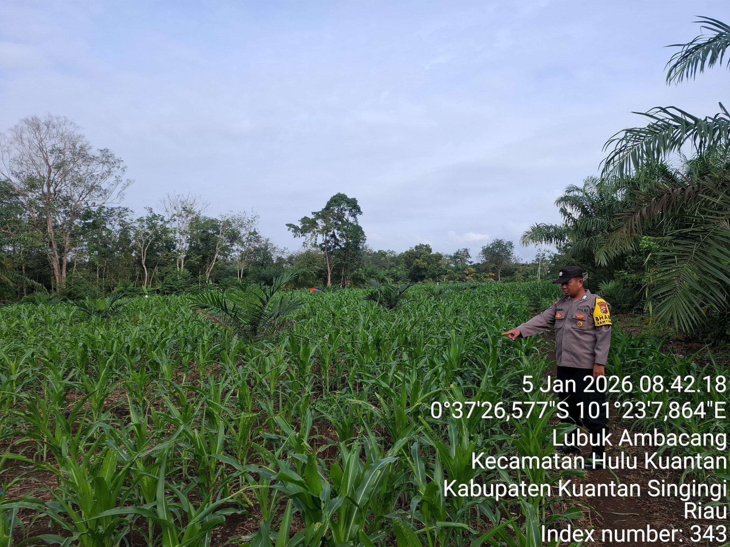 Kapolres Kuansing : Polri Dukung Penuh Program Swasembada Pangan Nasional 2026